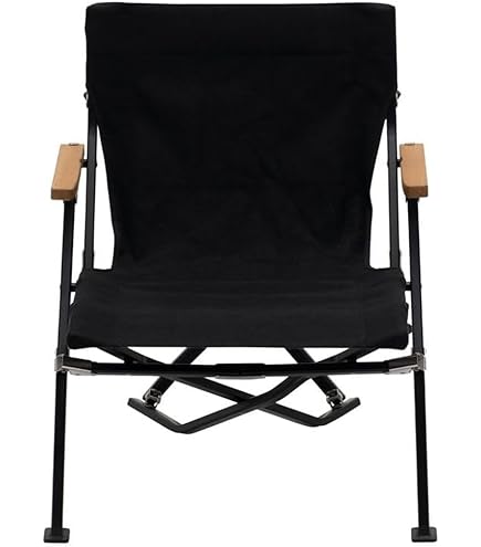 Amazon.co.jp: スノーピーク(snow peak)チェア ローチェアシリーズ対応